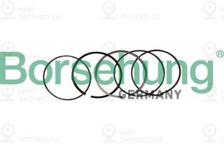 Запчасть Borsehung B10369