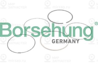 Запчасть Borsehung B10373