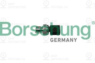 Запчасть Borsehung B11839
