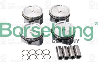 Запчасть Borsehung B13576