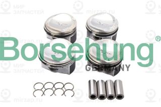Запчасть Borsehung B13582