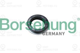 Запчасть Borsehung B18294