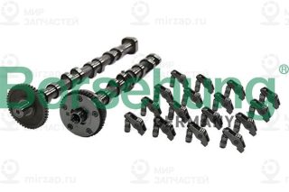 Комплект распредвала Borsehung B19173