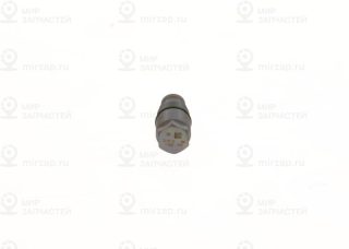 Клапан ограничения давления, Common-Rail-System BOSCH F00N010082