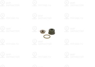 Ремкомплект, система common-rail BOSCH F00N201244