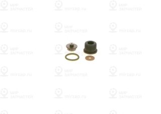 Ремкомплект, система common-rail BOSCH F00N202480