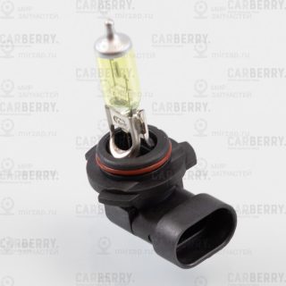 Запчасть CARBERRY 31CA2FL