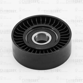 Запчасть CARBERRY 55CA201