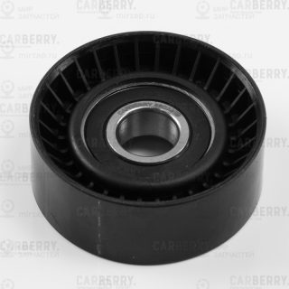 Запчасть CARBERRY 55CA268
