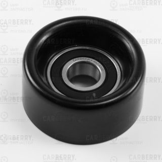 Запчасть CARBERRY 55CA349