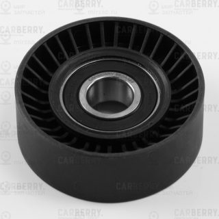 Запчасть CARBERRY 55CA425