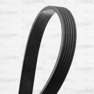 Запчасть CARBERRY 6PK948