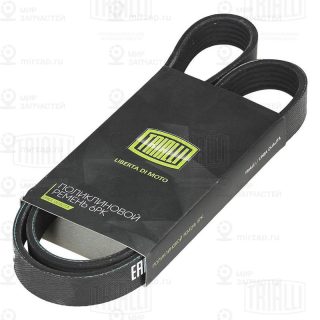 Ремень поликлиновой TRIALLI 6PK1020E
