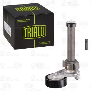 Натяжитель ремня ГРМ TRIALLI CM5079