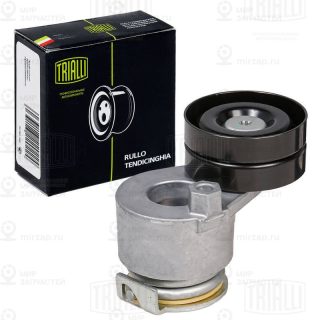 Паразитный / ведущий ролик поликлинового ремня TRIALLI CM5321