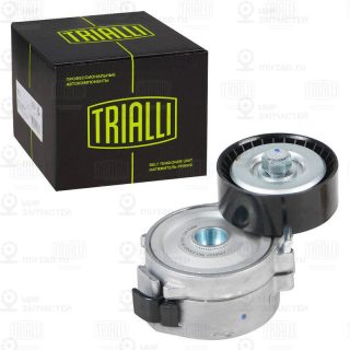 Натяжитель ремня ГРМ TRIALLI CM5399