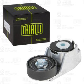 Натяжитель ремня ГРМ TRIALLI CM5401