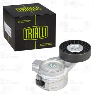 Натяжитель ремня ГРМ TRIALLI CM5488