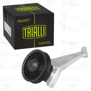 Паразитный / ведущий ролик поликлинового ремня TRIALLI CM5599