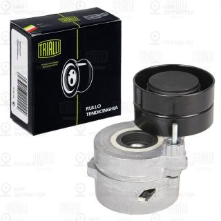 Натяжитель ремня ГРМ TRIALLI CM5658