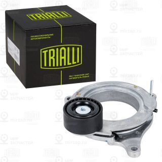 Натяжитель ремня ГРМ TRIALLI CM5684