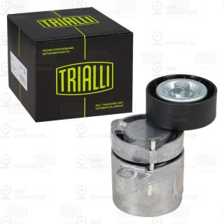 Натяжитель ремня ГРМ TRIALLI CM5706