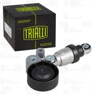 Натяжитель ремня ГРМ TRIALLI CM5732