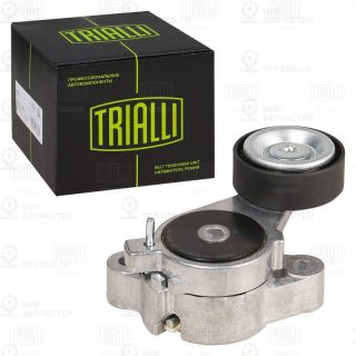 Натяжитель ремня ГРМ TRIALLI CM5756