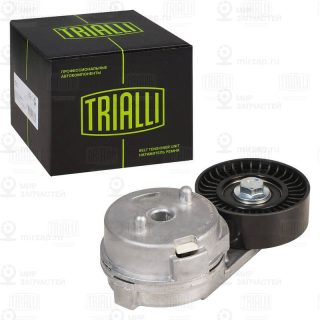 Натяжитель ремня ГРМ TRIALLI CM5758