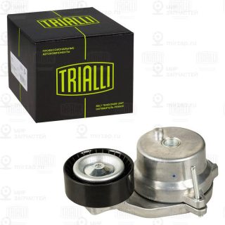 Натяжитель ремня ГРМ TRIALLI CM5807