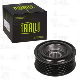 Натяжитель ремня ГРМ TRIALLI CM5811