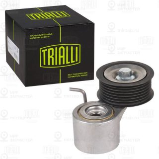 Натяжитель ремня ГРМ TRIALLI CM5816