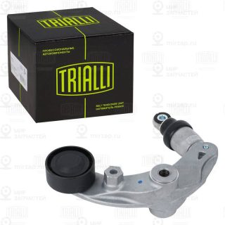 Натяжитель ремня ГРМ TRIALLI CM5912