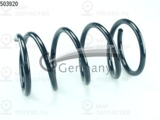 Запчасть COIL SPRINGS 14503920