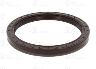 Уплотняющее кольцо ступицы колеса CORTECO 01016689B