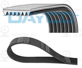 Ремень поликлиновой DAYCO 7PK2842