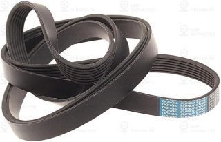 Запчасть DONGIL 7PK2875