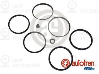 Ремкомплект тормозного суппорта AUTOFREN SEINSA D4079