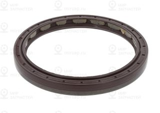 Уплотняющее кольцо ступицы колеса CORTECO 01027682B