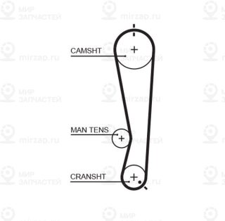 Запчасть GATES 5591XS