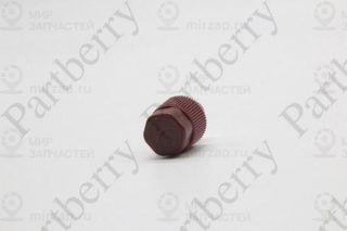 Запчасть PARTBERRY PB1119065