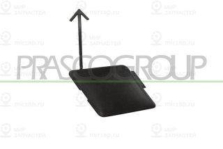 Запчасть PRASCO VG8071236