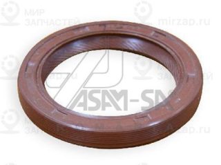 Запчасть ASAM 01337