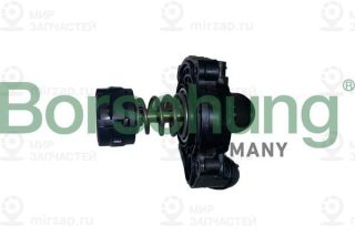 Термостат охлаждающей жидкости Borsehung B10554