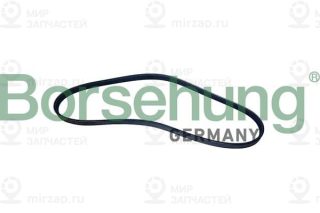 Запчасть Borsehung B12496