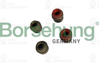 Уплотнительное кольцо, стержень клапана Borsehung B12534