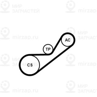 Запчасть Continental 4PK925K1