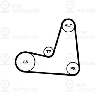Запчасть Continental 5PK1135K1