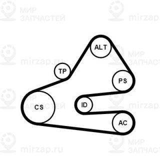 Запчасть Continental 6PK1613K1