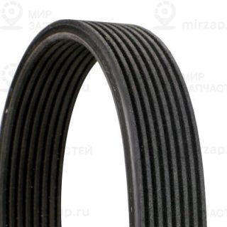 Запчасть Continental 8DPK1827